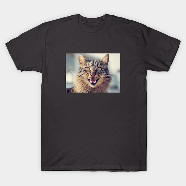 Laughing Cat Face T-Shirt by Freckle Face